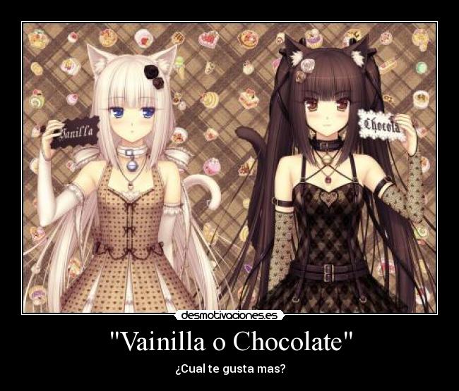Vainilla o Chocolate -