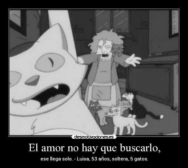 El amor no hay que buscarlo, - ese llega solo. - Luisa, 53 años, soltera, 5 gatos.