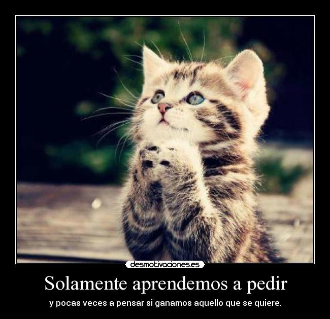 Solamente aprendemos a pedir - y pocas veces a pensar si ganamos aquello que se quiere.