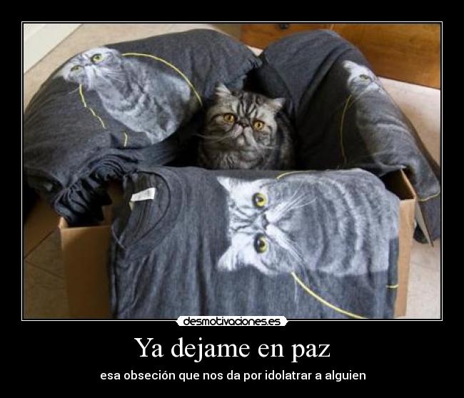 carteles playeras gatunas desmotivaciones