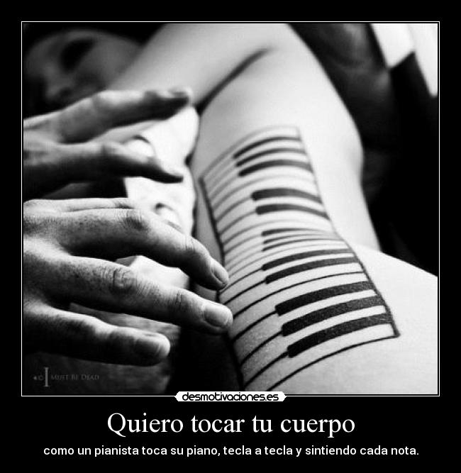 carteles apoyo julian assange lauren assange desmotivaciones