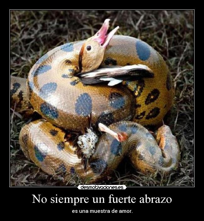 No siempre un fuerte abrazo -