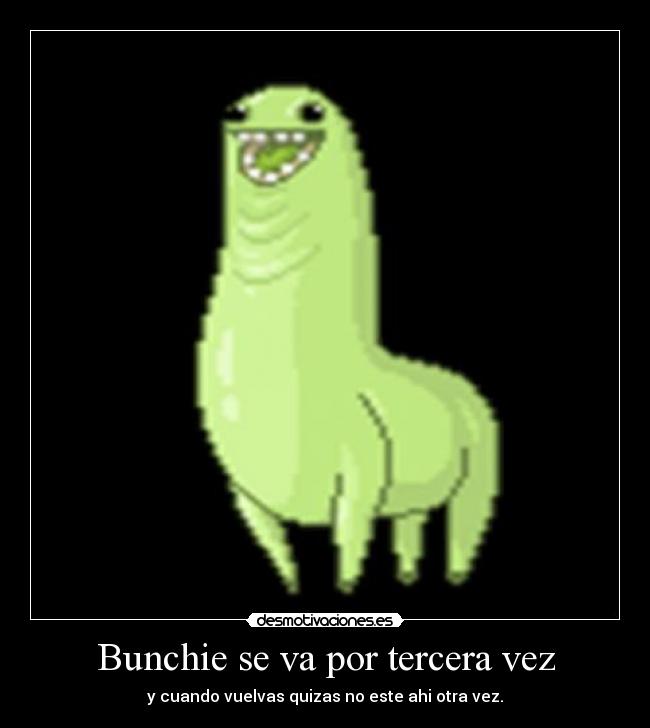 Bunchie se va por tercera vez -