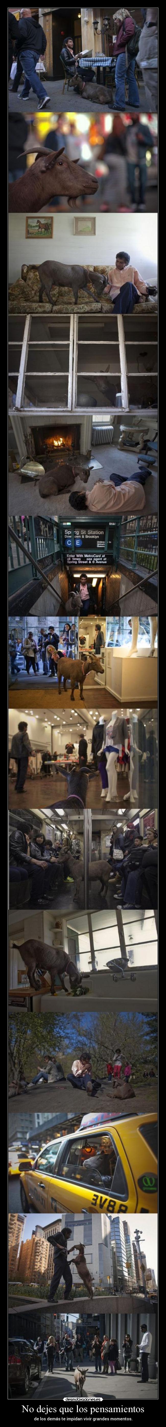 carteles pensamientos joder quiero hacer eso por nueva york que guapo ostia cabra esa mola v25 ht99 desmotivaciones