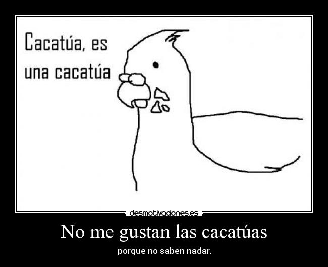 No me gustan las cacatúas - porque no saben nadar.