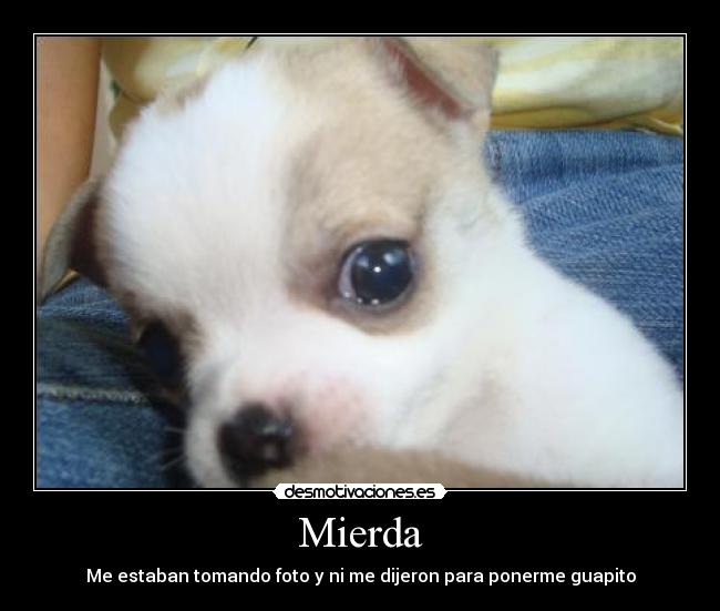 carteles tipico las fotos xddddddd desmotivaciones