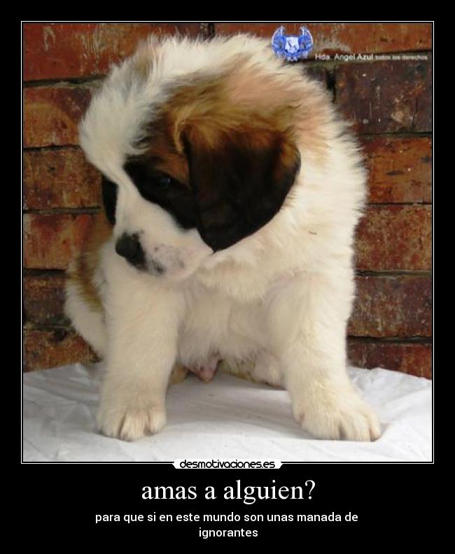 Imágenes y Carteles de LUII | Desmotivaciones
