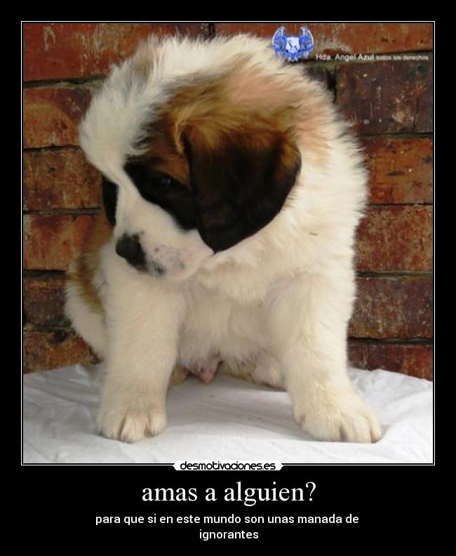 amas a alguien? - 