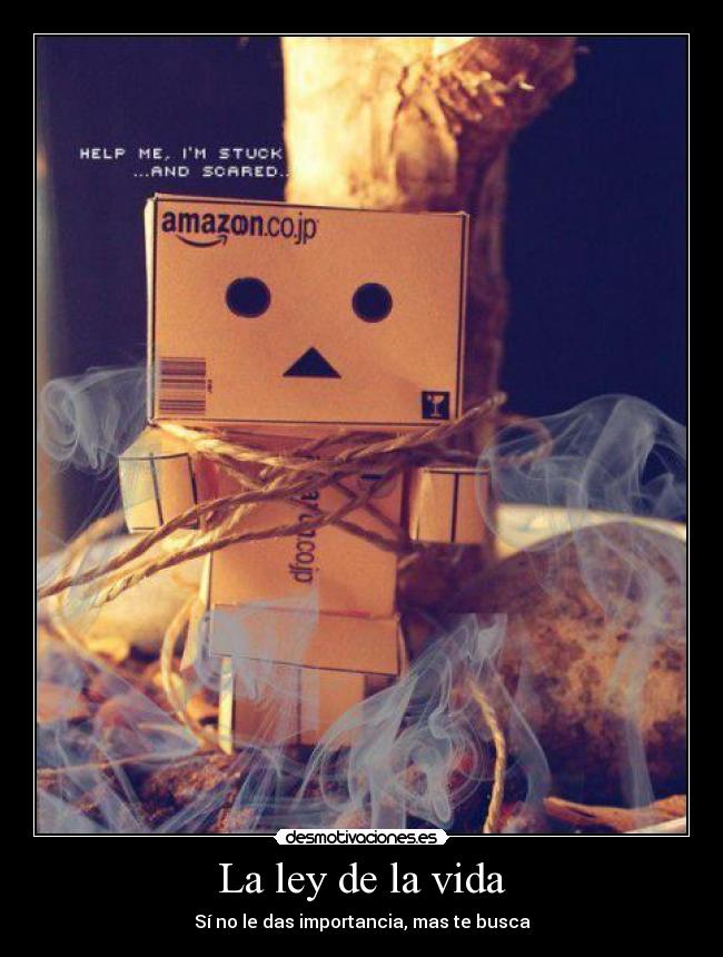 carteles vida foto nada que ver con descripcion desmotivaciones