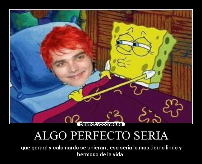 ALGO PERFECTO SERIA -