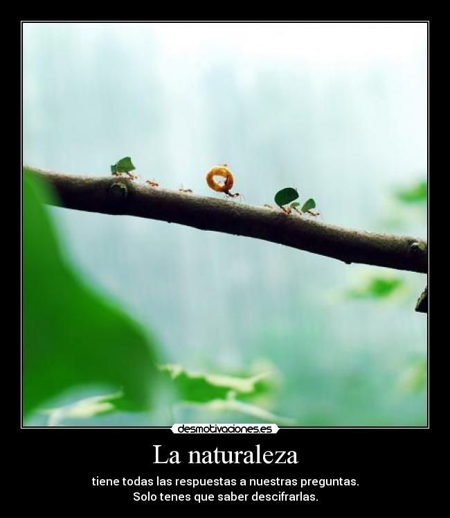 La naturaleza - tiene todas las respuestas a nuestras preguntas.
Solo tenes que saber descifrarlas.
