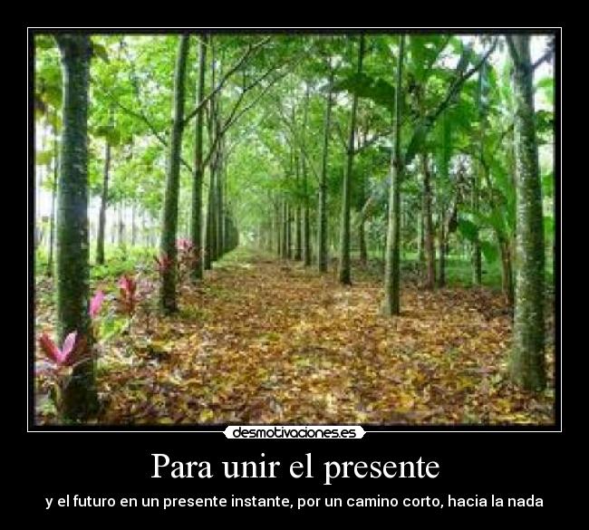 carteles caminos desmotivaciones