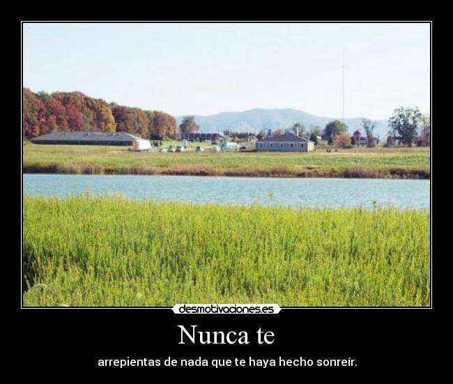 Nunca te -