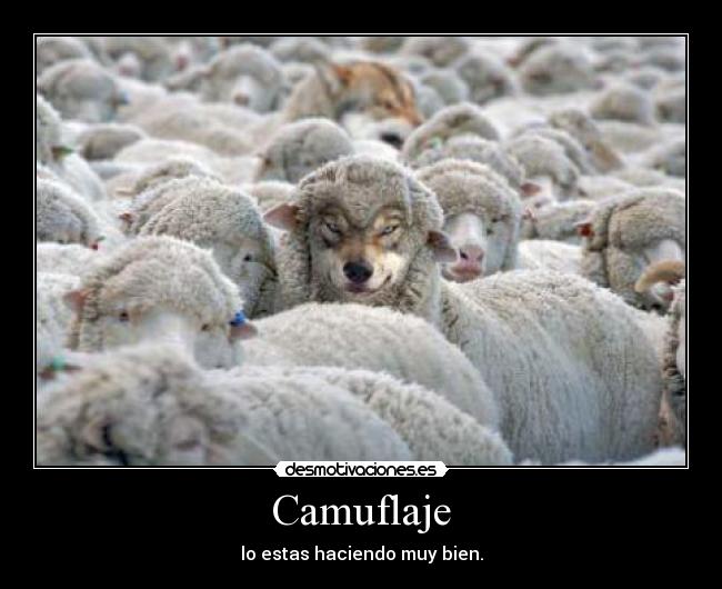 Camuflaje - lo estas haciendo muy bien.