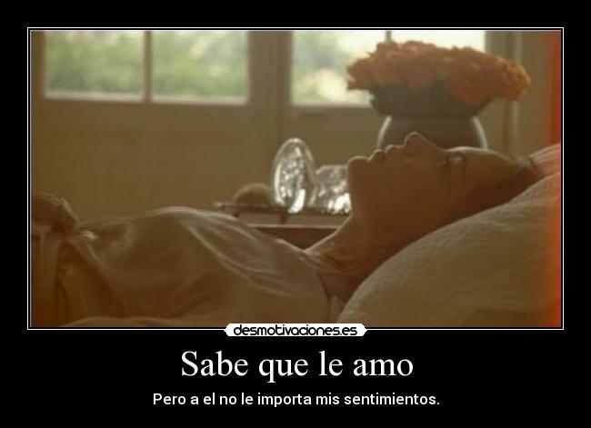 Sabe que le amo -
