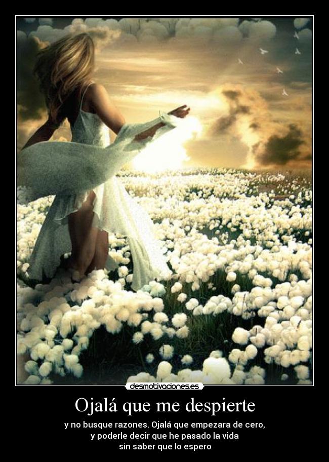 Ojalá que me despierte -