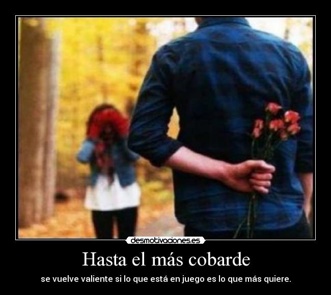 carteles beiita29 desmotivaciones