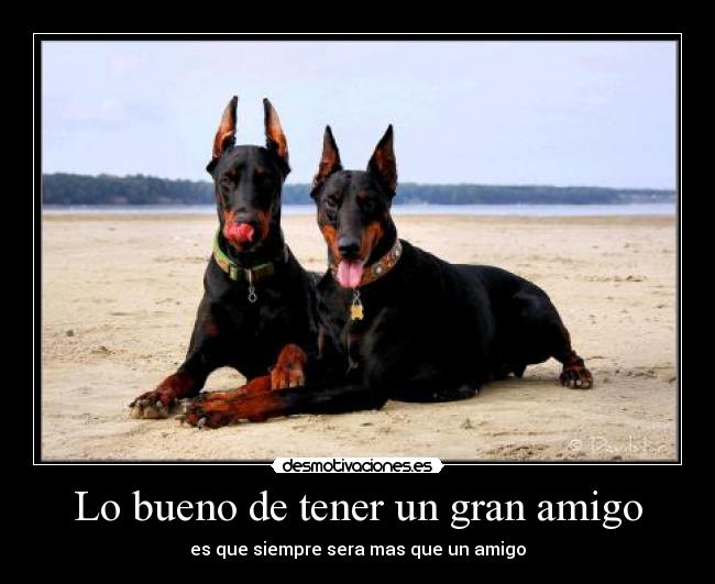 Lo bueno de tener un gran amigo -