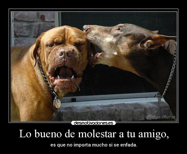 Lo bueno de molestar a tu amigo, -