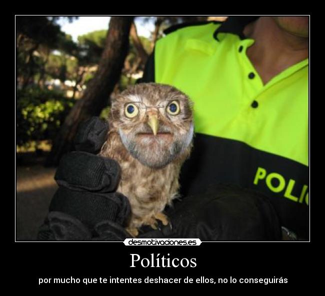 Políticos - por mucho que te intentes deshacer de ellos, no lo conseguirás