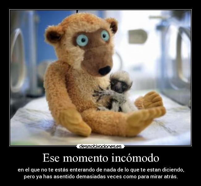 Ese momento incómodo - en el que no te estás enterando de nada de lo que te estan diciendo,
pero ya has asentido demasiadas veces como para mirar atrás.