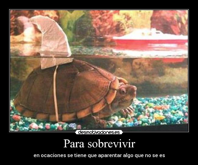 Para sobrevivir - en ocaciones se tiene que aparentar algo que no se es