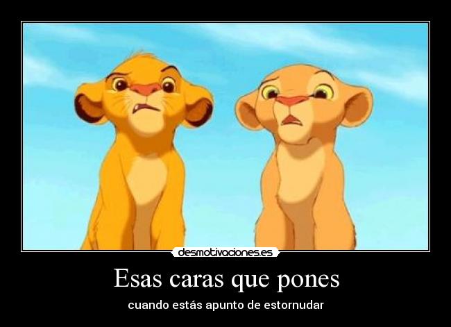 Esas caras que pones - 