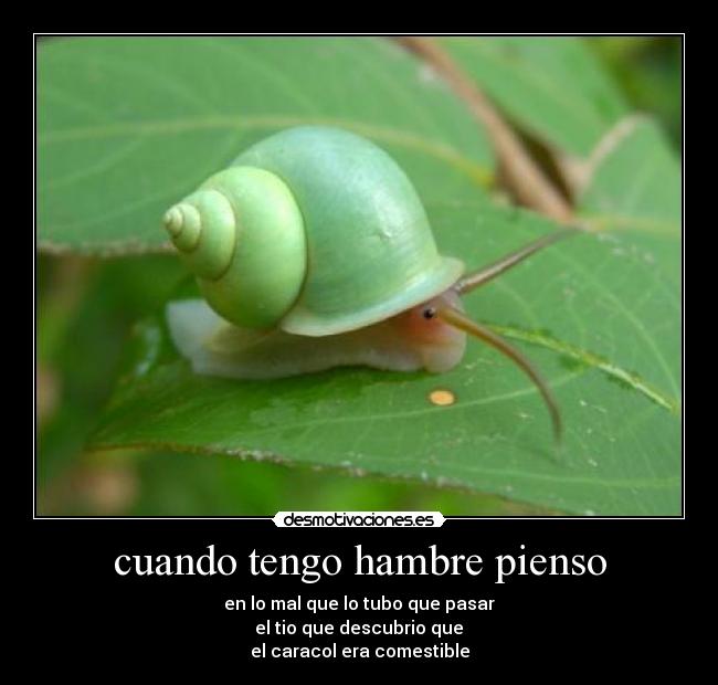 cuando tengo hambre pienso - en lo mal que lo tubo que pasar
el tio que descubrio que
el caracol era comestible