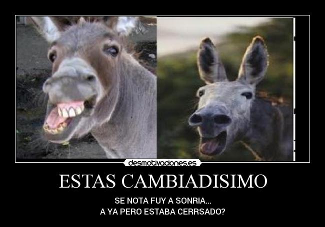 ESTAS CAMBIADISIMO - SE NOTA FUY A SONRIA...
A YA PERO ESTABA CERRSADO?