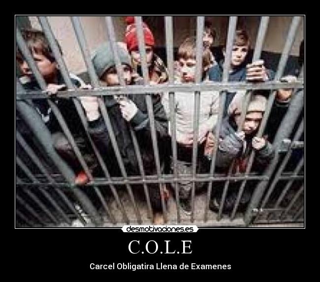 C.O.L.E -