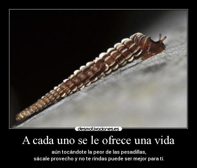 A cada uno se le ofrece una vida - aún tocándote la peor de las pesadillas,
sácale provecho y no te rindas puede ser mejor para tí.