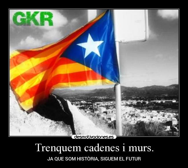 carteles maru gek desmotivaciones