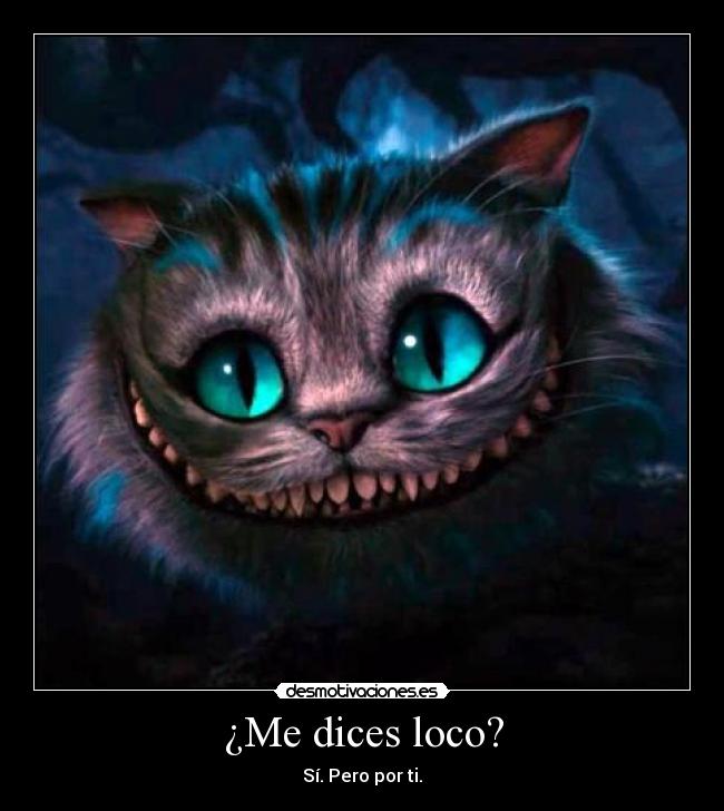 ¿Me dices loco? -