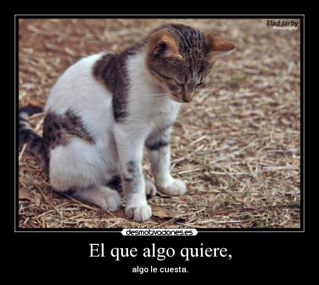 El que algo quiere, - 