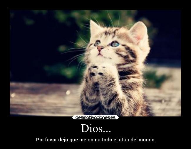 Dios... - Por favor deja que me coma todo el atún del mundo.