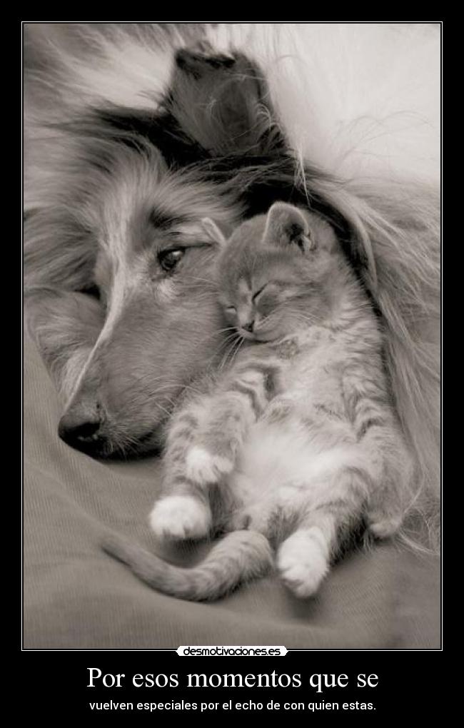 Por esos momentos que se - vuelven especiales por el echo de con quien estas.