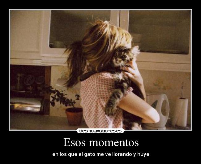 Esos momentos - en los que el gato me ve llorando y huye