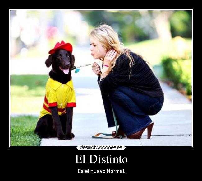 El Distinto - Es el nuevo Normal.