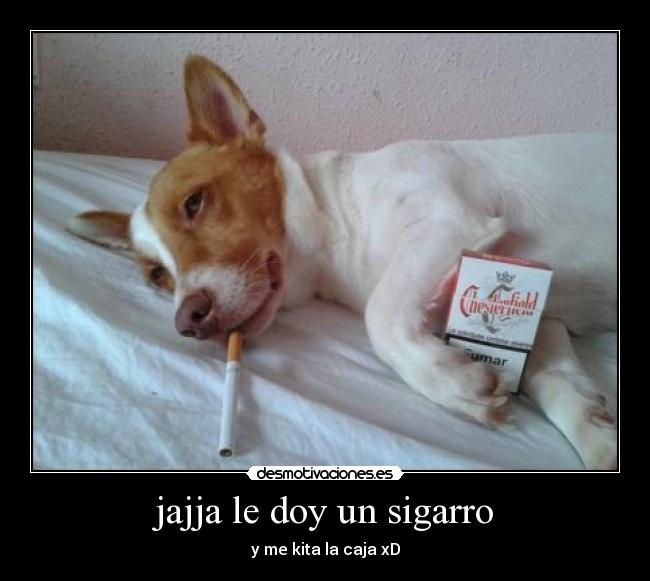 carteles vicious89 thereaper subi foto porke paresi grasioso perro con sigarro punto desmotivaciones