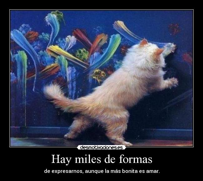 Hay miles de formas - 