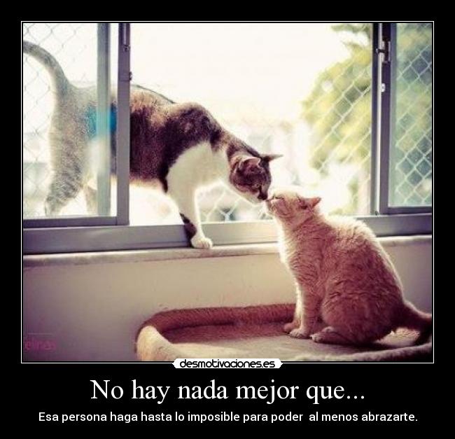 No hay nada mejor que... - Esa persona haga hasta lo imposible para poder al menos abrazarte.