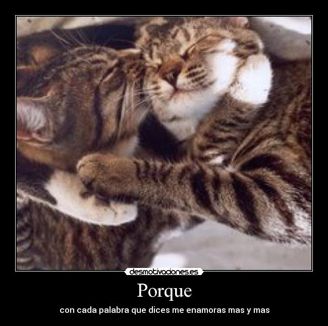 Porque - 