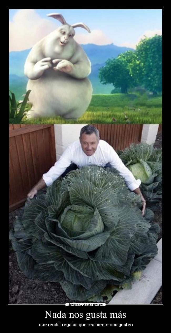 Nada nos gusta más -