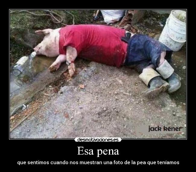 Esa pena - que sentimos cuando nos muestran una foto de la pea que teníamos