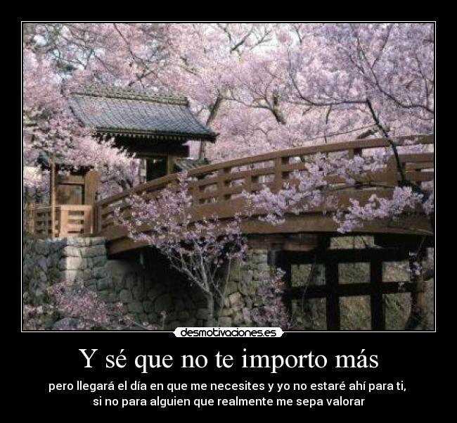 Y sé que no te importo más -