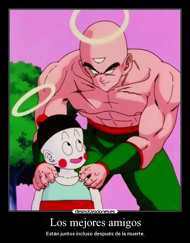 carteles amigos chaoz ten shin han desmotivaciones