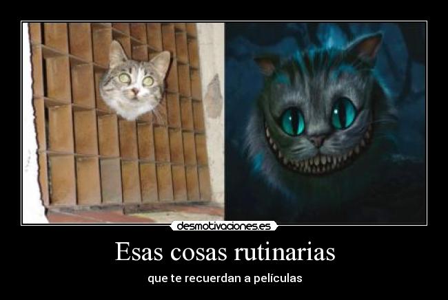 Esas cosas rutinarias - que te recuerdan a películas