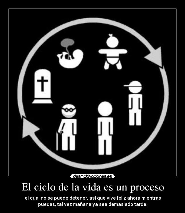 El ciclo de la vida es un proceso - el cual no se puede detener, así que vive feliz ahora mientras
puedas, tal vez mañana ya sea demasiado tarde.