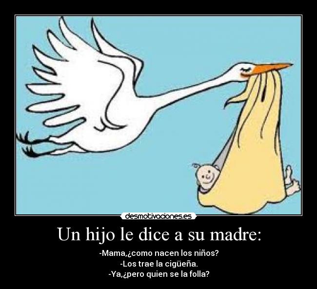 Un hijo le dice a su madre: - -Mama,¿como nacen los niños?
-Los trae la cigüeña.
-Ya,¿pero quien se la folla?