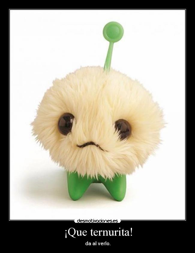¡Que ternurita! - da al verlo.